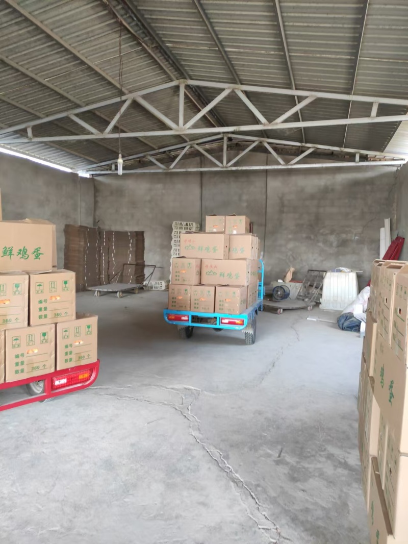 精品土鸡蛋，养鸡场一手货源，品质保证，价格便宜