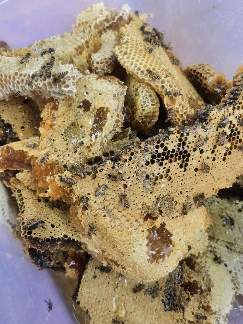 【蜂蜜】土蜂蜜41度以上波美度，买三送二，农家自产自销