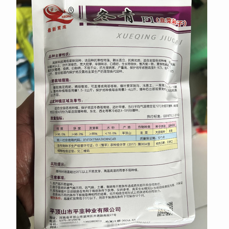 冬青F1韭菜种子不休眠白长直立产量高耐高温大田基地