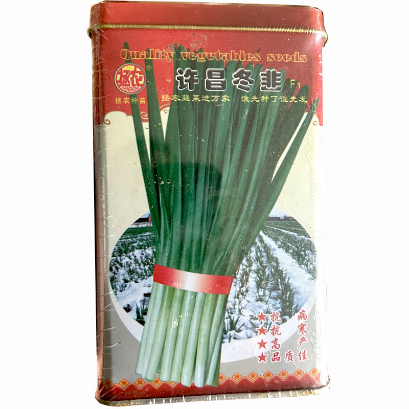 许昌冬韭韭菜种子籽宽叶大叶全年不无休眠韭菜种子