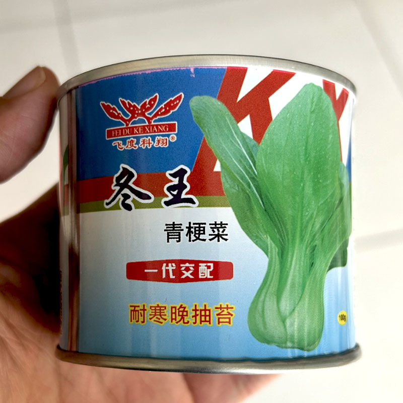 冬王青梗菜种子一代杂交耐寒晚抽苔耐抽苔早春