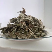 艾叶产品实拍一件代发