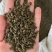 吴茱萸