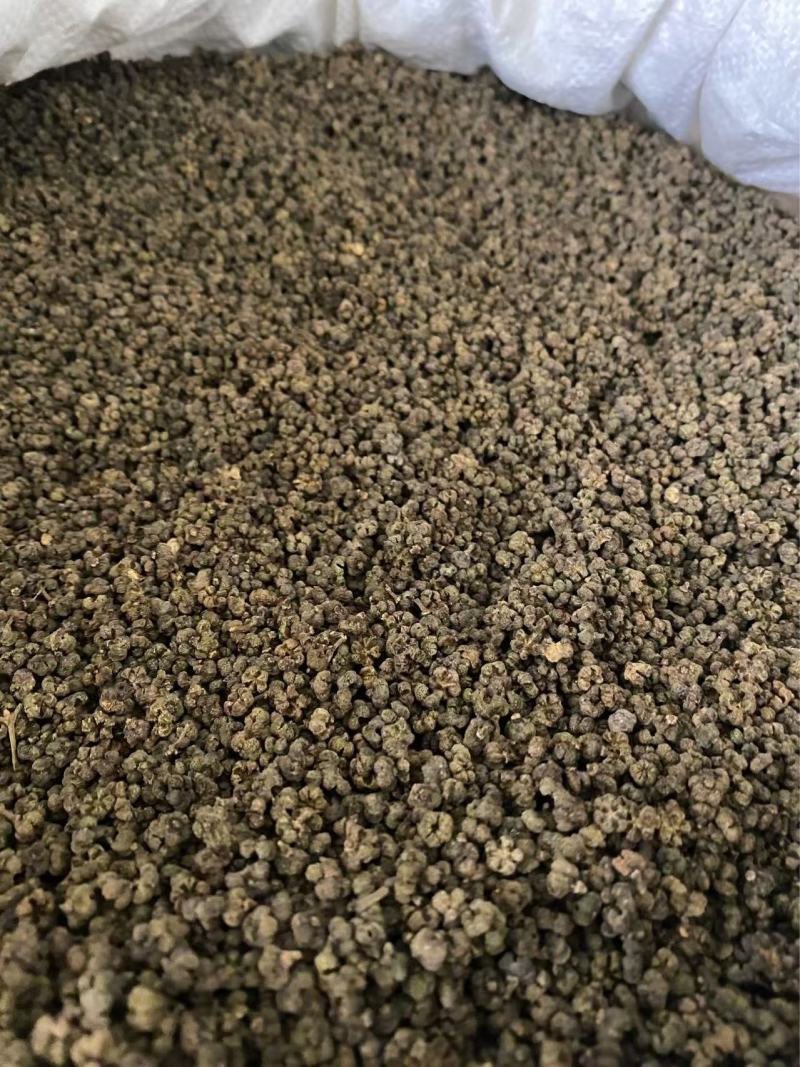 吴茱萸