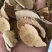 乌药保质保量一件代发