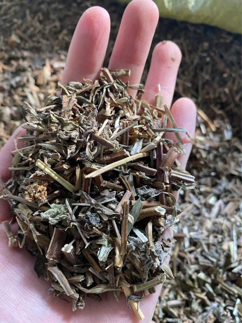 薄荷杆薄荷段常年批发供应