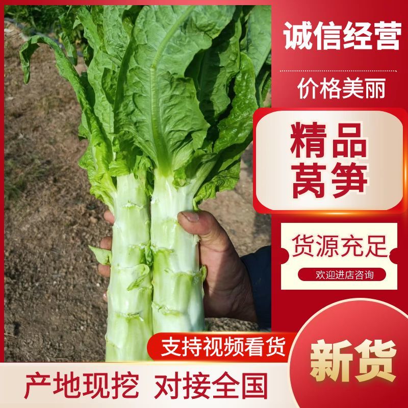 精品红叶莴笋，产地直发，全国供货，量大从优，欢迎选购