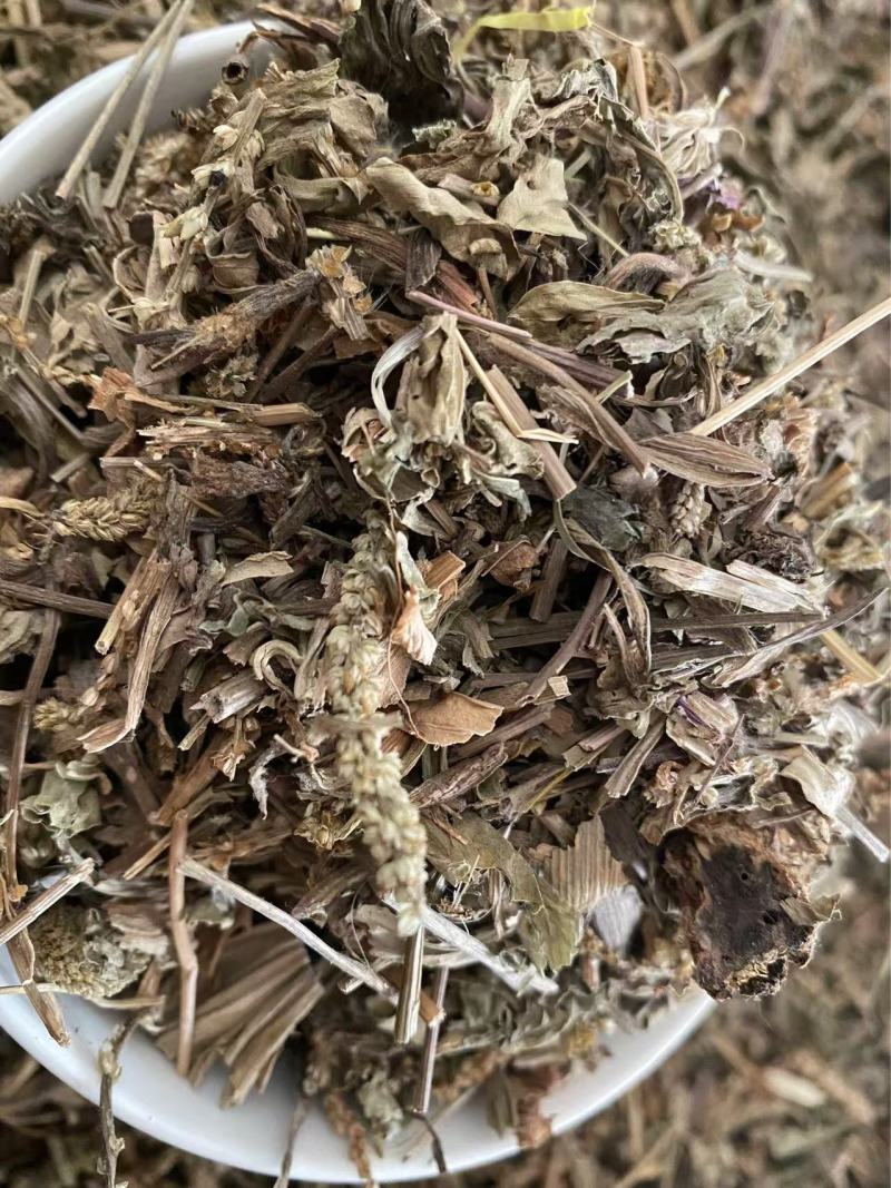 车前草干货切断现货质量保证