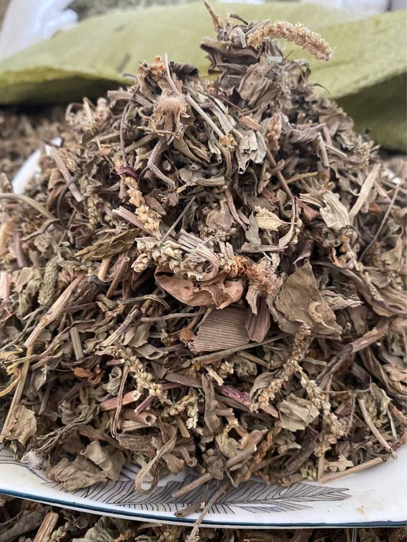 车前草干货切断现货质量保证