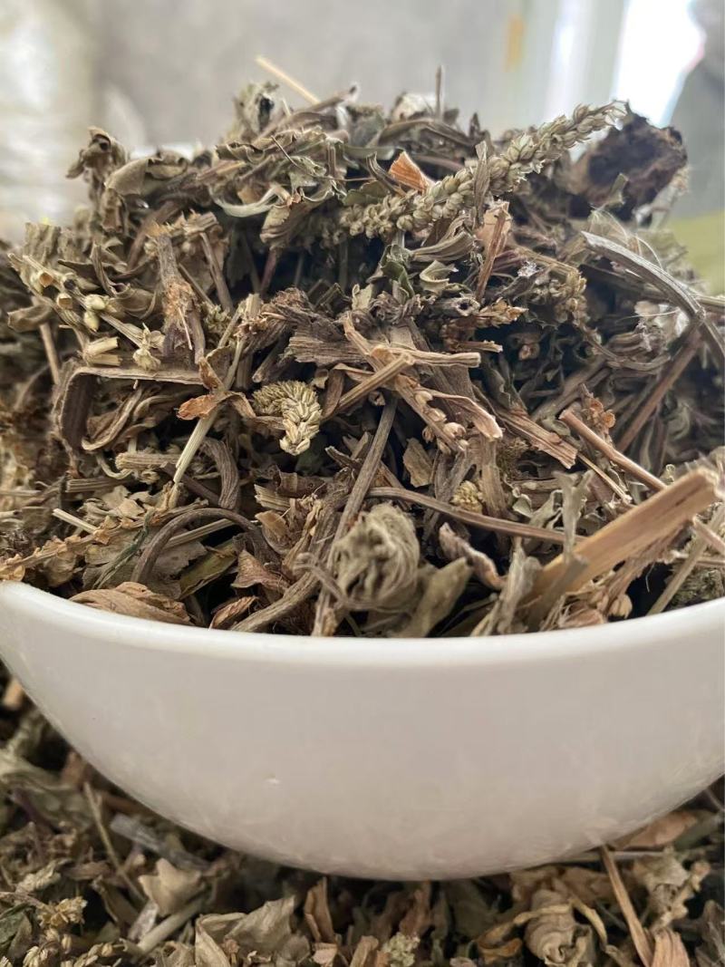 车前草干货切断现货质量保证