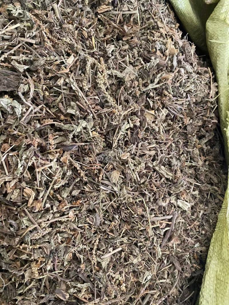 车前草干货切断现货质量保证