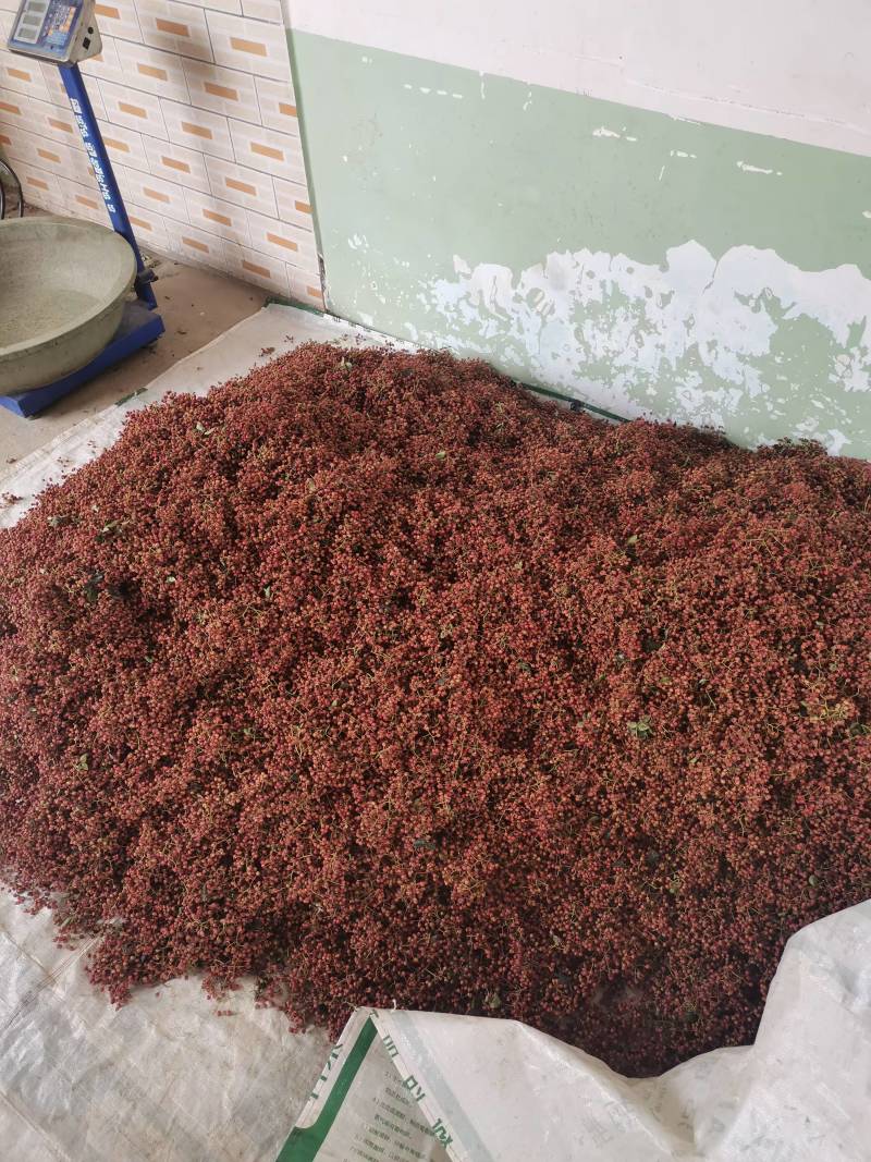 红花椒大量发货中对接大各批发商或者商超欢迎联系