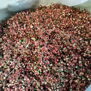 红花椒大量发货中对接大各批发商或者商超欢迎联系