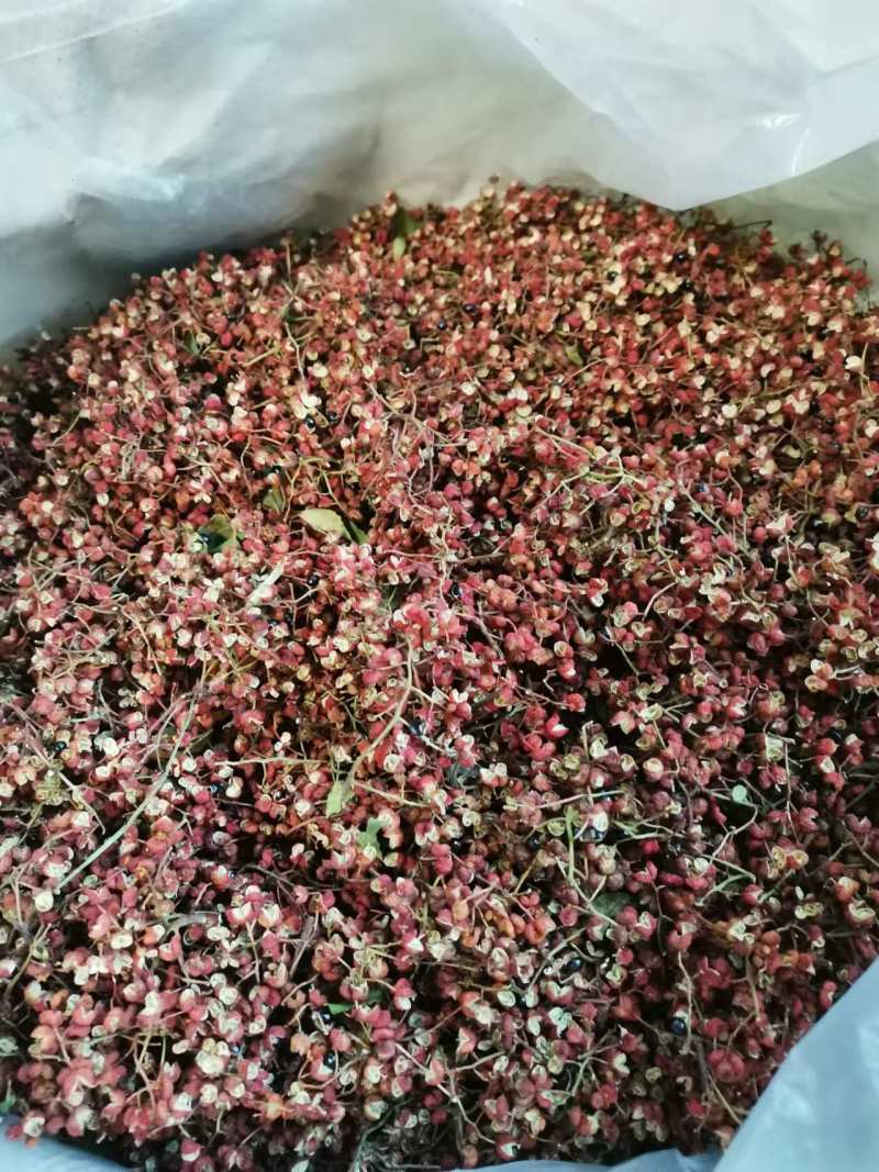 红花椒大量发货中对接大各批发商或者商超欢迎联系
