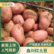血川红土豆红皮土豆内蒙古土豆产地直发品质保障