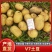 v7土豆土豆产地一手货源高品质价格低量大优惠