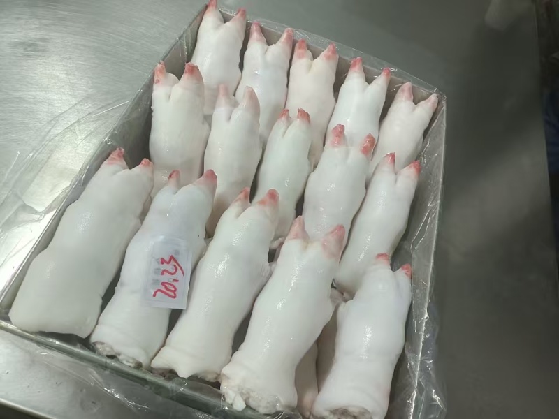 肥猪猪蹄猪手一级带劲猪蹄干净无毛颜色白净可长期供应