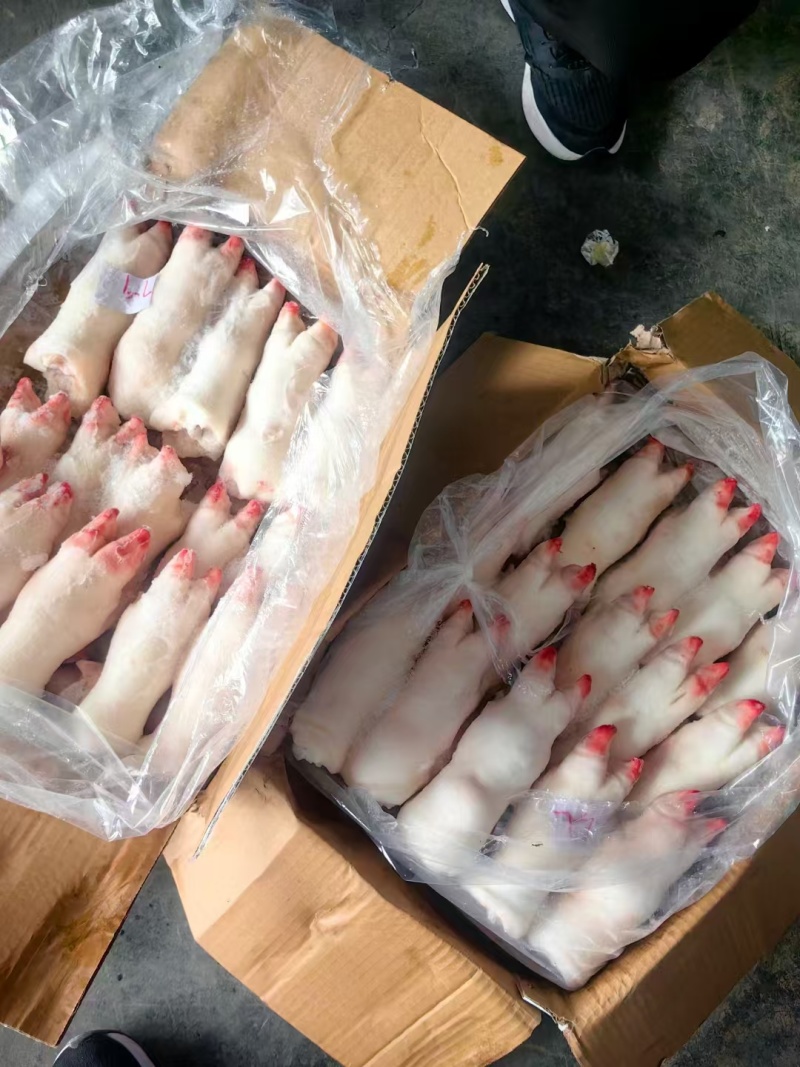 肥猪猪蹄猪手一级带劲猪蹄干净无毛颜色白净可长期供应