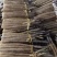 【走量价】山药，精品山药电商货一块多点欢迎电话联系