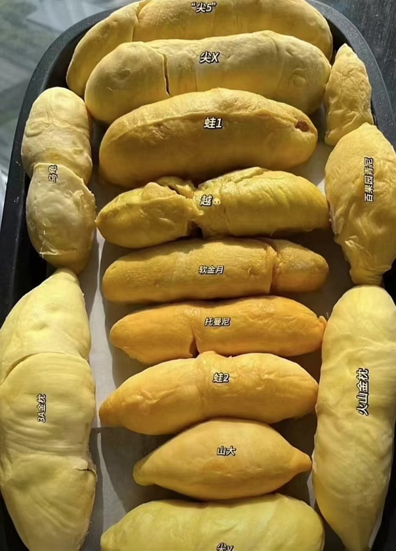 榴莲肉榴莲冻果肉厂家直发品质保障可视频看货