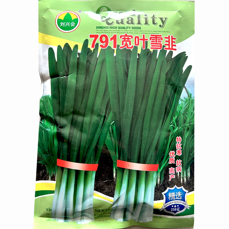 791宽叶韭菜种子不休眠耐寒耐热产量高基地品种