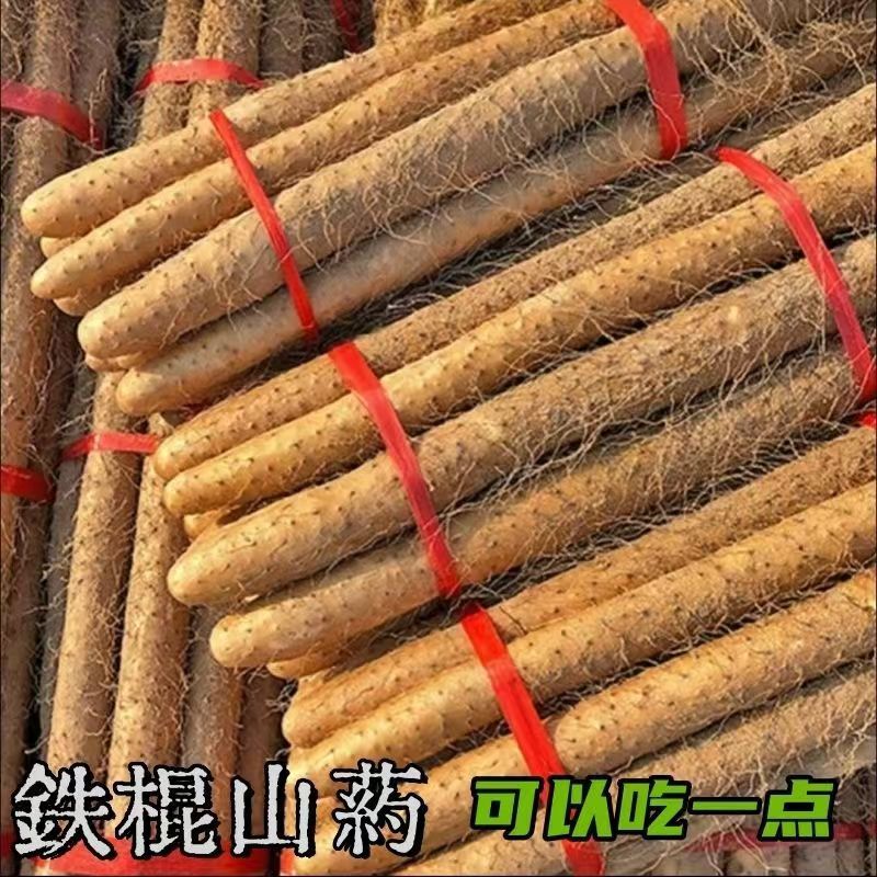 河南铁棍山药2024新货上市需要的老板电话联系