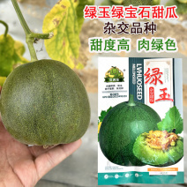 绿宝石甜瓜种子早熟抗病高产甜度18耐裂耐湿热绿皮绿肉