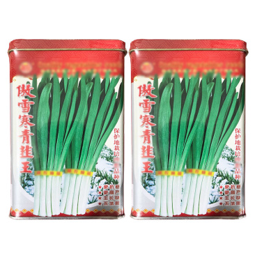 傲雪寒青韭菜种子抗寒直立白长叶宽叶色浓绿