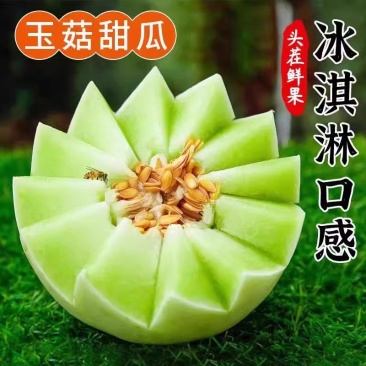 海南玉菇瓜3/5/8/9斤新鲜应季水果爆甜多汁冰激凌甜瓜