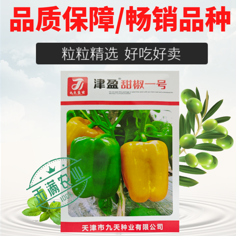 黄色甜椒种子灯笼辣椒阳台四季秧彩椒蔬菜幼苗秧苗菜苗种籽孑