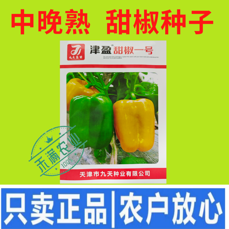 黄色甜椒种子灯笼辣椒阳台四季秧彩椒蔬菜幼苗秧苗菜苗种籽孑