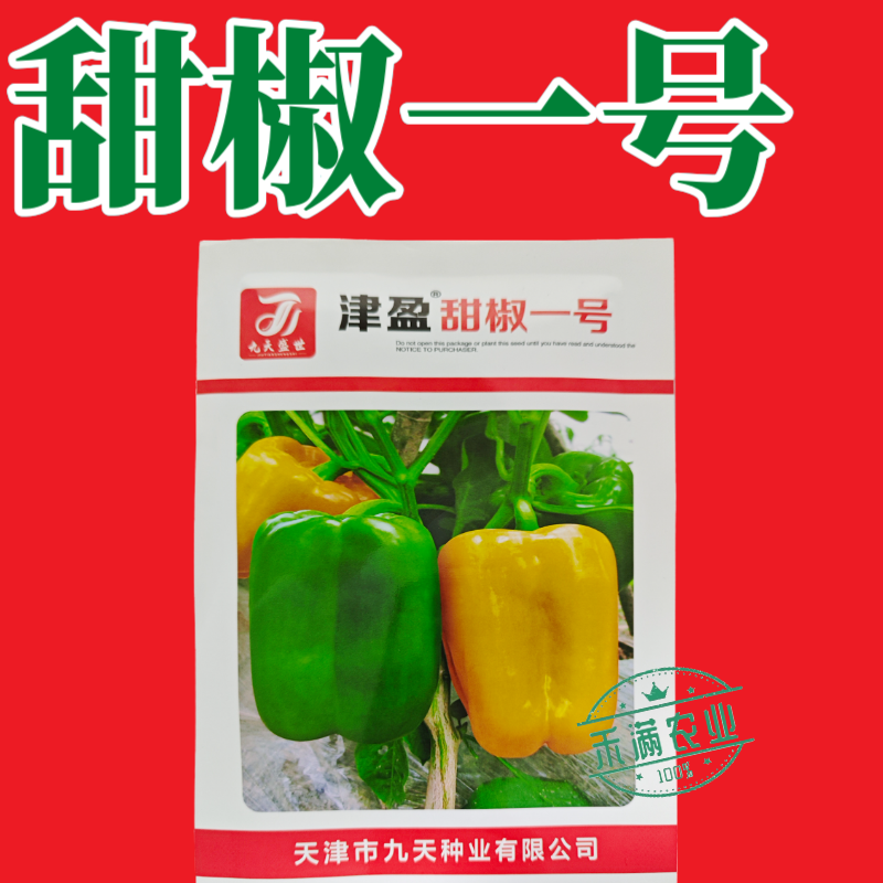 黄色甜椒种子灯笼辣椒阳台四季秧彩椒蔬菜幼苗秧苗菜苗种籽孑