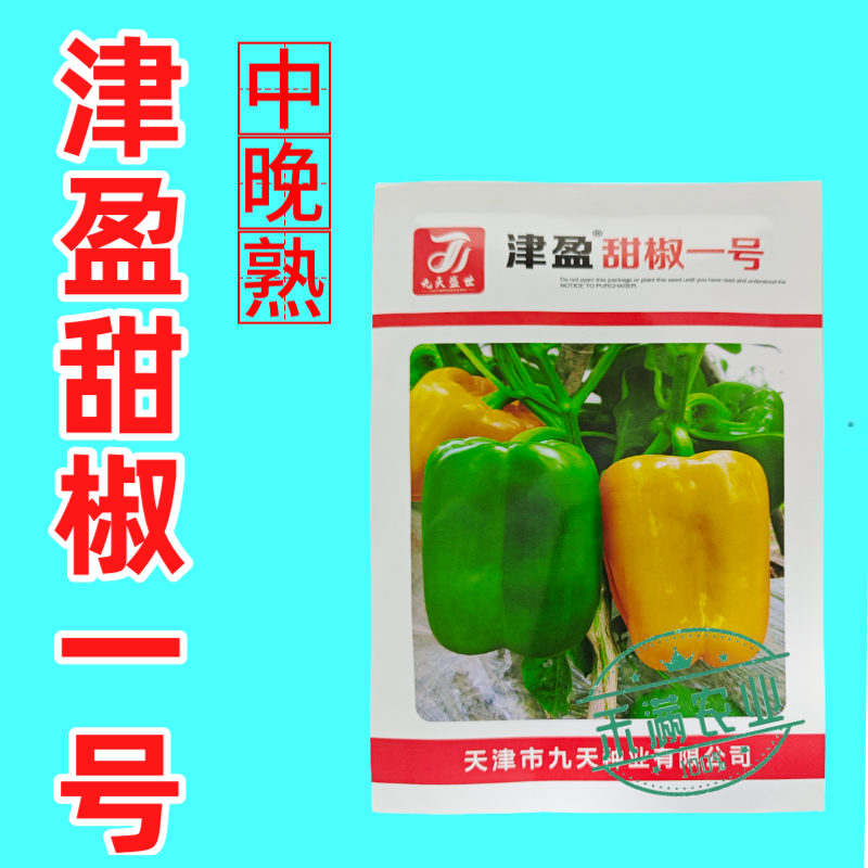 黄色甜椒种子灯笼辣椒阳台四季秧彩椒蔬菜幼苗秧苗菜苗种籽孑