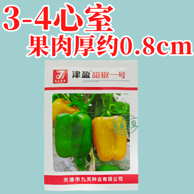黄色甜椒种子灯笼辣椒阳台四季秧彩椒蔬菜幼苗秧苗菜苗种籽孑