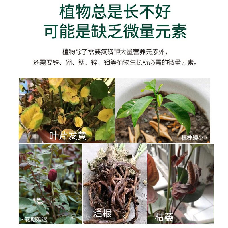 捷沅大量元素水溶肥瓜果蔬菜水溶肥改良土壤30-10-10