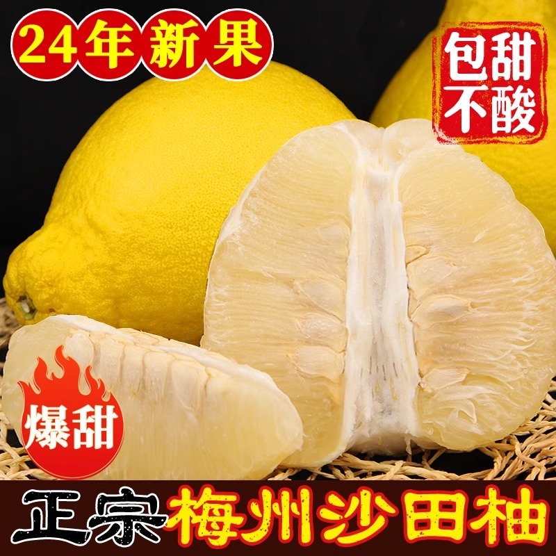 梅州正宗沙田柚子广东梅县新鲜水果