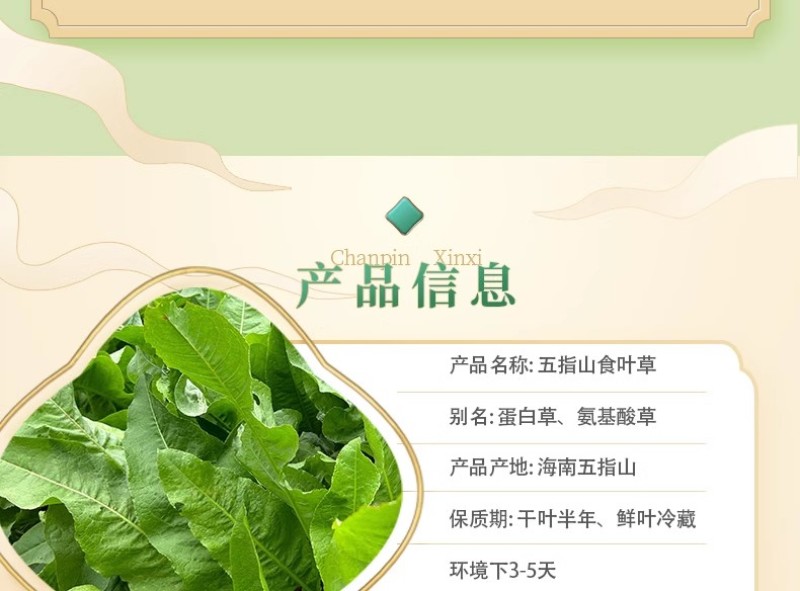五指山食叶草海南酸叶汤新鲜食叶草鲜叶500g