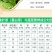 五指山食叶草海南酸叶汤新鲜食叶草鲜叶500g
