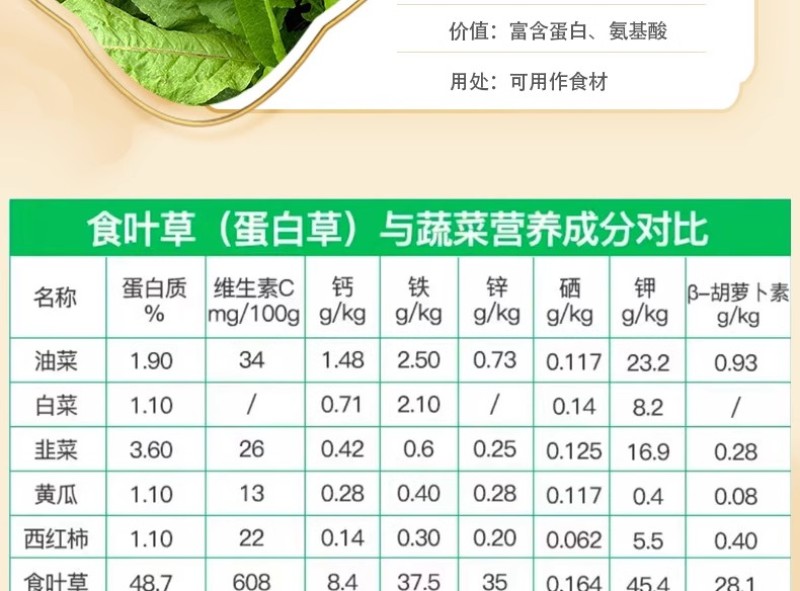 五指山食叶草海南酸叶汤新鲜食叶草鲜叶500g