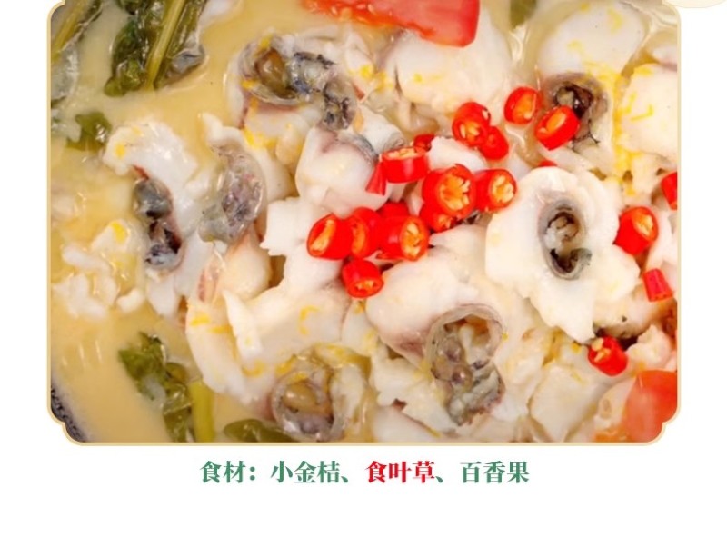 五指山食叶草海南酸叶汤新鲜食叶草鲜叶500g