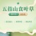 五指山食叶草海南酸叶汤新鲜食叶草鲜叶500g