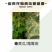 75%百菌清番茄早疫病花生叶斑病蔬菜大田杀菌剂悬浮剂农药