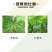 75%百菌清番茄早疫病花生叶斑病蔬菜大田杀菌剂悬浮剂农药
