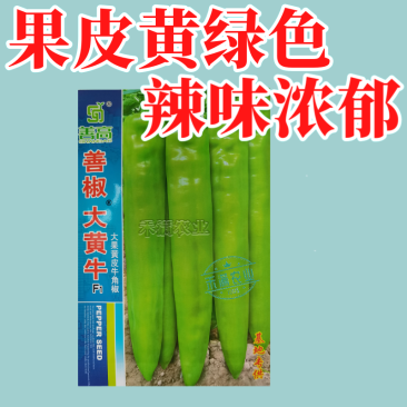 大黄牛大果黄皮牛角椒种籽辣椒种子大全椒种籽四季蔬菜种籽辣