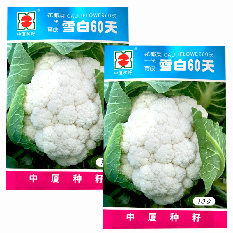 中厦雪白60天花椰菜菜花种子耐热抗病白花菜优质花椰