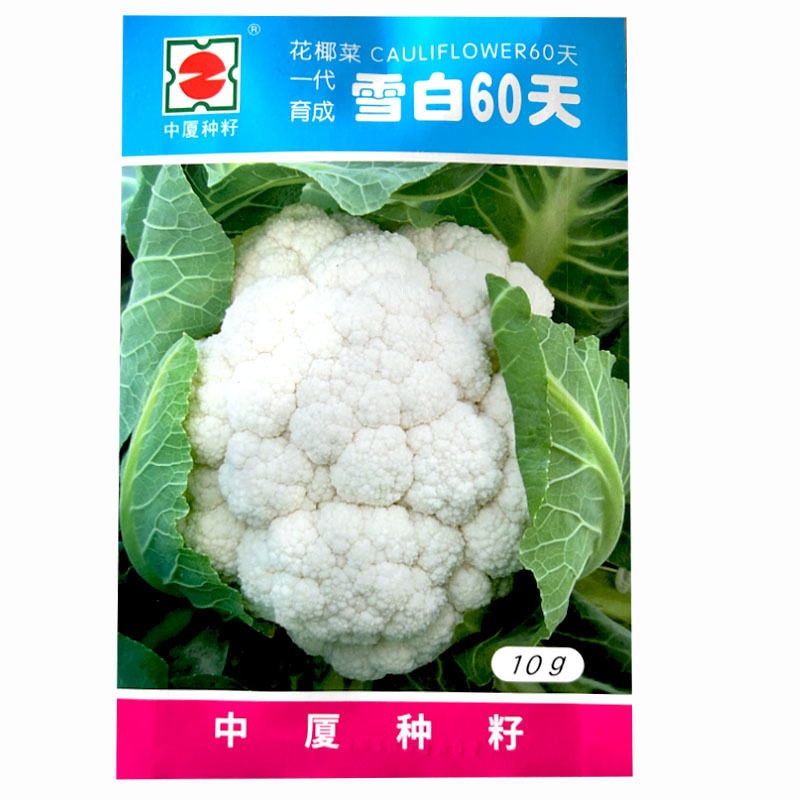 中厦雪白60天花椰菜菜花种子耐热抗病白花菜优质花椰