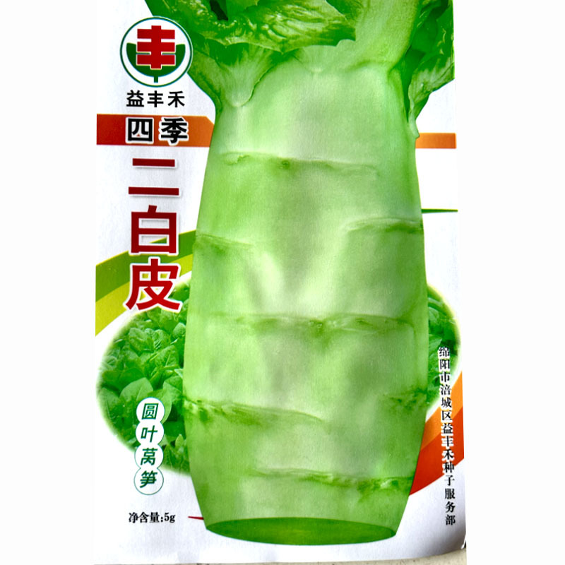 耐热二百皮四季春秋二白皮耐热高产莴笋种子