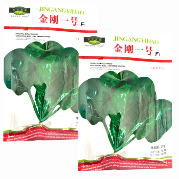 金刚一号杂交菠菜种子丹麦进口易捆扎耐热耐寒抗病强产量