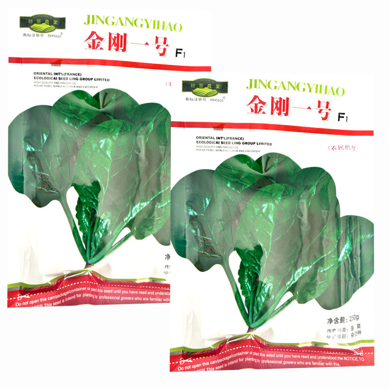 金刚一号杂交菠菜种子丹麦进口易捆扎耐热耐寒抗病强产量