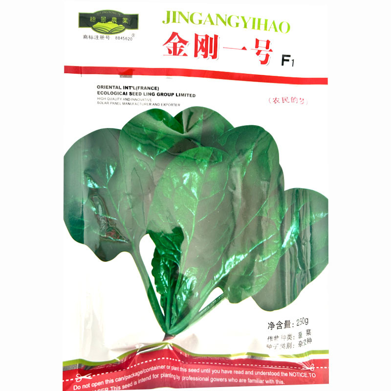 金刚一号杂交菠菜种子丹麦进口易捆扎耐热耐寒抗病强产量
